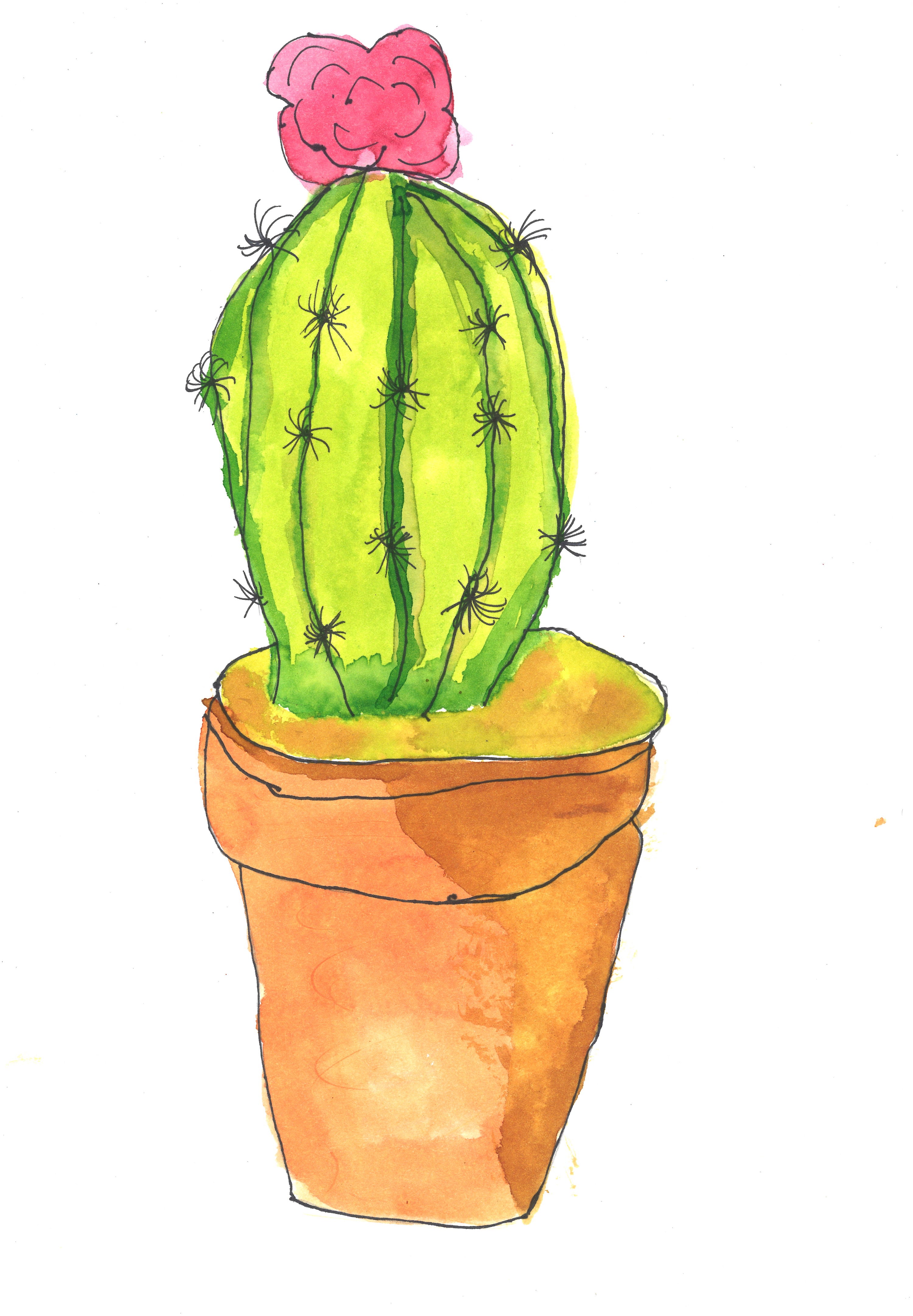 Still Life Cactus